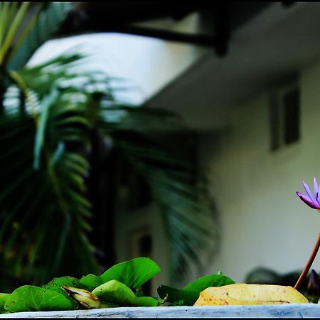 Mount Villa Dehiwala-Mount Lavinia Eksteriør bilde
